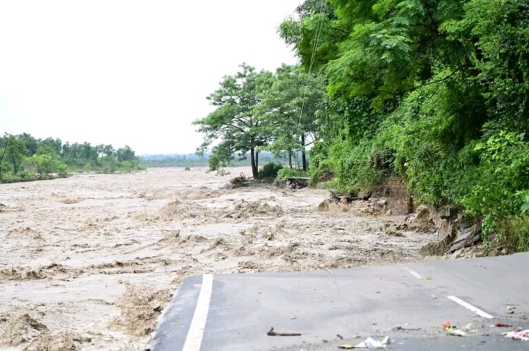 4dad6995-bc9a-4c38-b611-0e8f8732e557