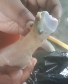 Screenshot 2025-09-03 145019