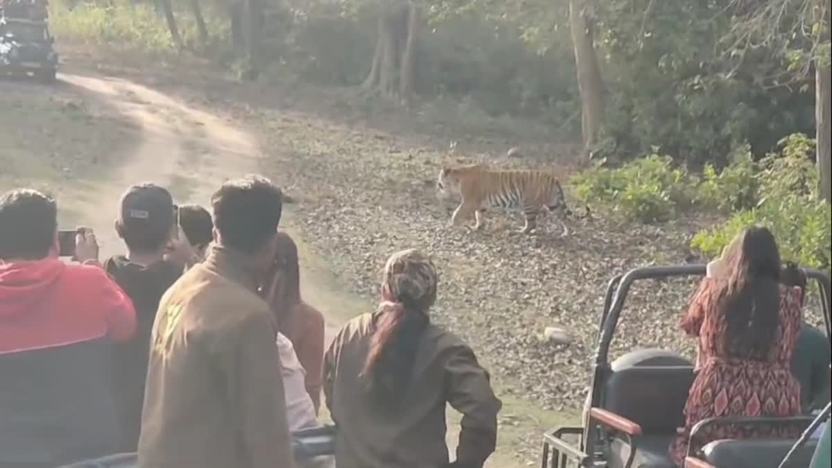 1200-675-25196126-thumbnail-16x9-545jim