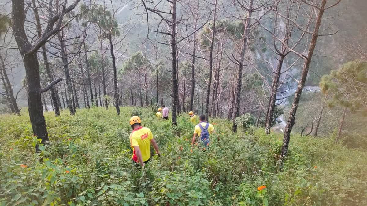 1200-675-25202409-thumbnail-16x9-hg