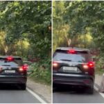 रामनगर में हाईवे पर अचानक आया टस्कर हाथी, खौफ से कार छोड़कर भागा परिवार