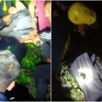 भैयादूज से पहले बुझे घरों का चिराग, ऋषिकेश में बड़ा सड़क हादसा, तीन युवकों की मौत