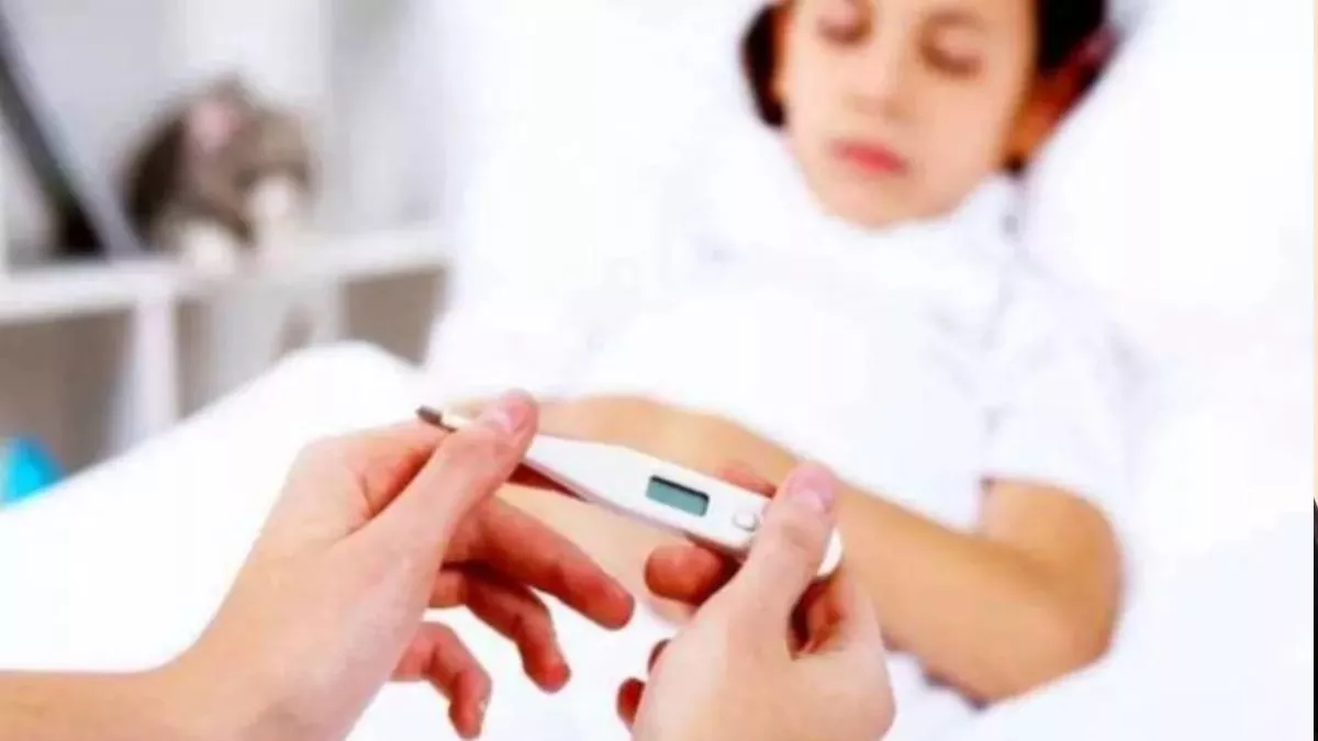 23_08_2025-fever_demo_picture_24022527