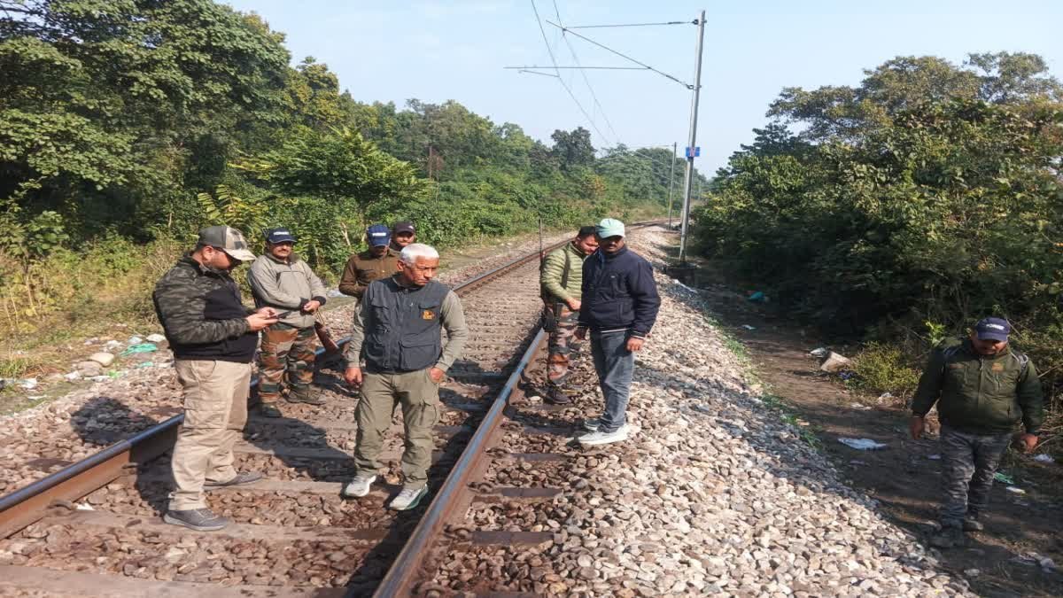 मोतीचूर रेंज में ट्रेन की टक्कर से शिशु हाथी की मौत, 2 घंटे प्रभावित रहा रेल यातायात, लोको पायलट पर मुकदमा