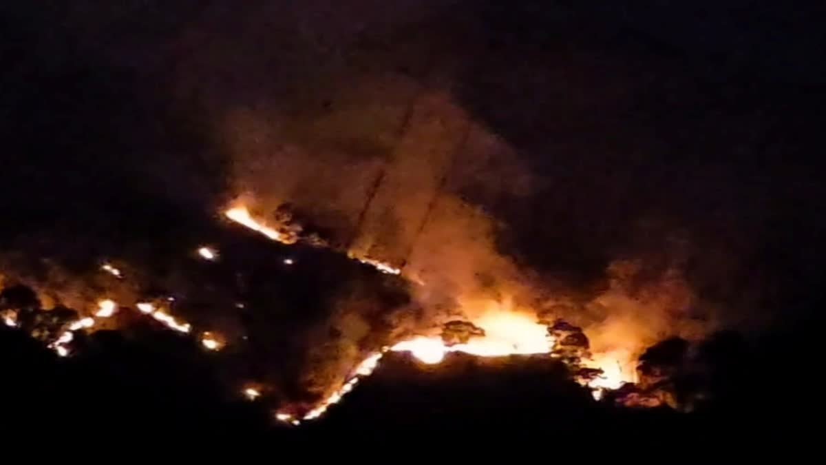 अल्मोड़ा के सल्ट क्षेत्र में देर रात जंगल में लगी भीषण आग, एक हेक्टेयर से अधिक क्षेत्र प्रभावित