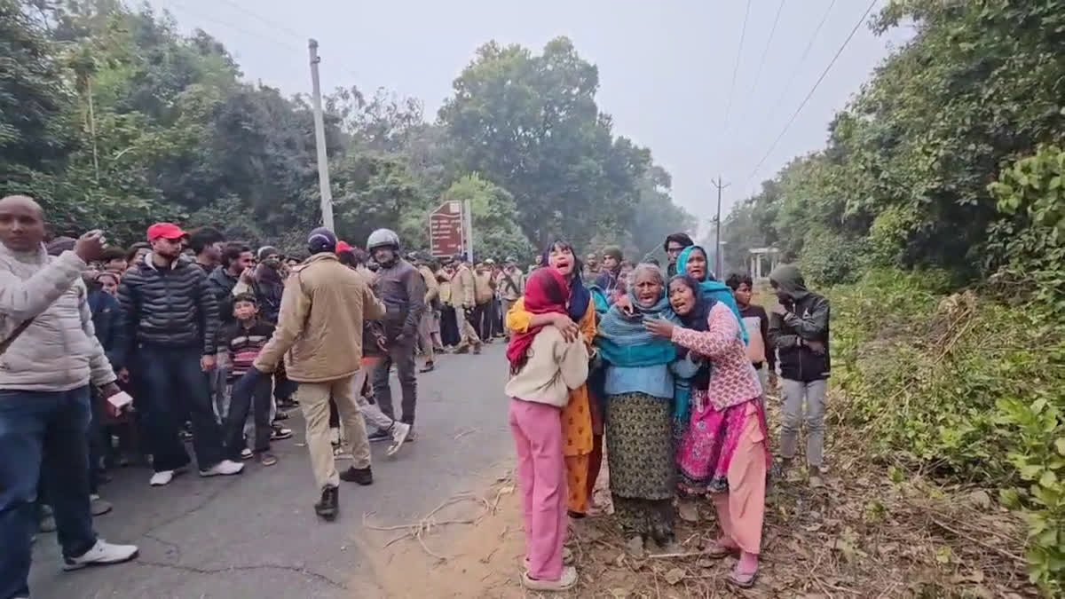 कॉर्बेट क्षेत्र में 60 वर्षीय बुजुर्ग महिला पर बाघ का हमला, शव घसीटकर जंगल में ले गया, ग्रामीण डरे