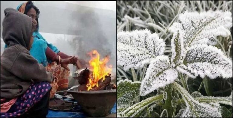 उत्तराखंड: पहाड़ों पर पाला, मैदानों में कोल्ड वेव अलर्ट का अलर्ट.. जानिये मौसम समाचार