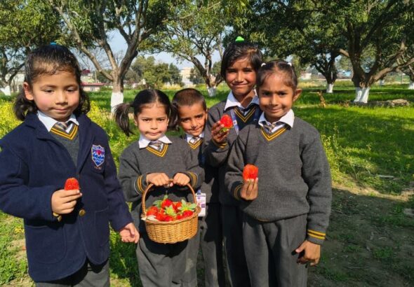 9f186aff-dd7b-4be2-bc78-c18874114084