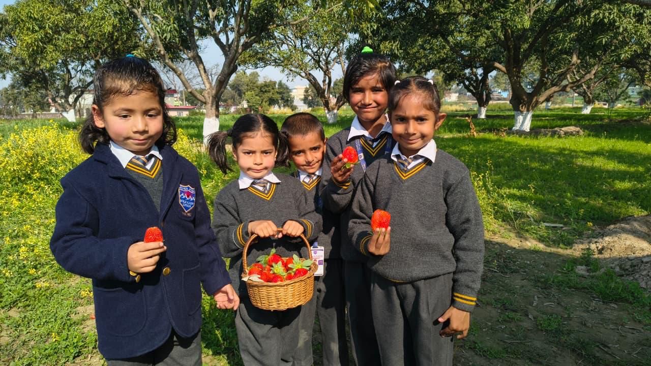 9f186aff-dd7b-4be2-bc78-c18874114084