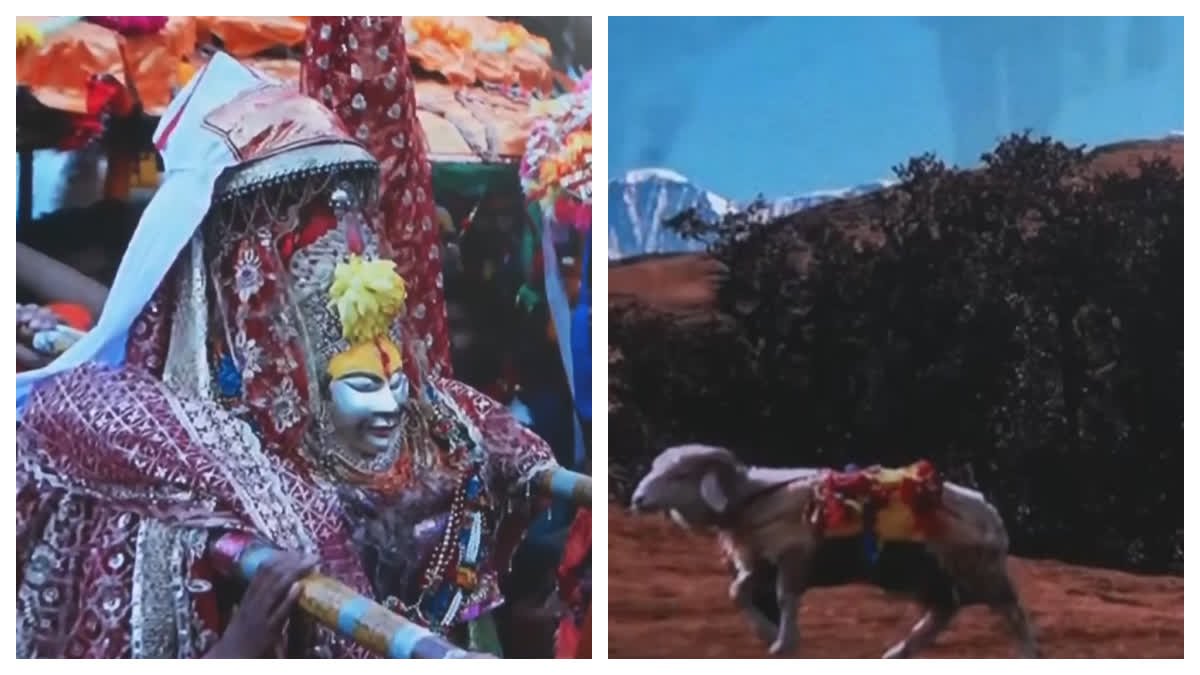 नन्दादेवी राजजात के लिए 109.65 करोड़ स्वीकृत: महाराज