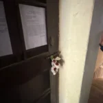 WhatsApp-Image-2026-03-31-at-6.56.04-PM