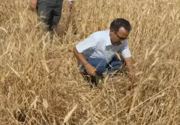 ChatGPT-Image-Apr-4-2026-01_05_36-PM