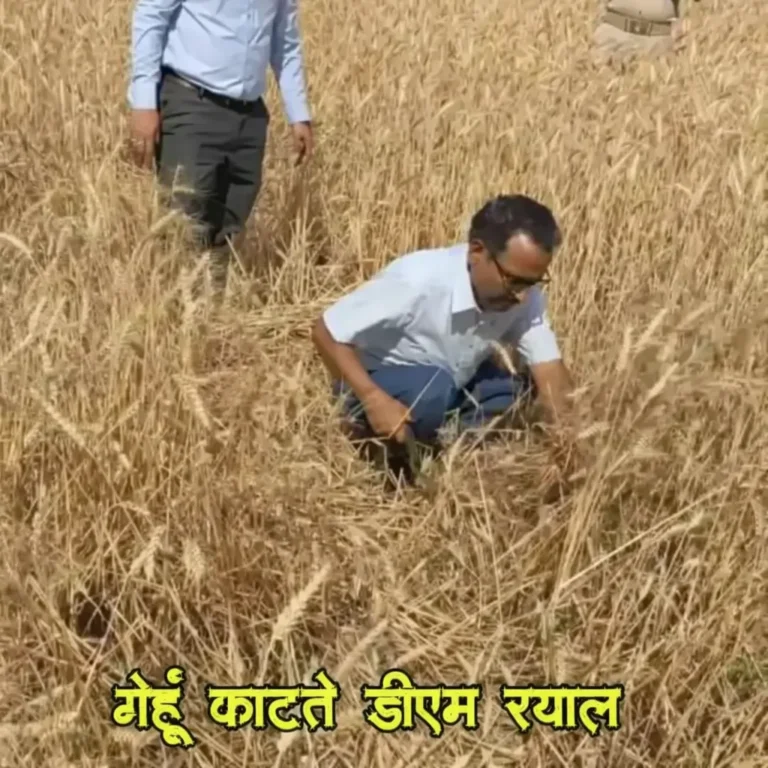 ChatGPT-Image-Apr-4-2026-01_05_36-PM