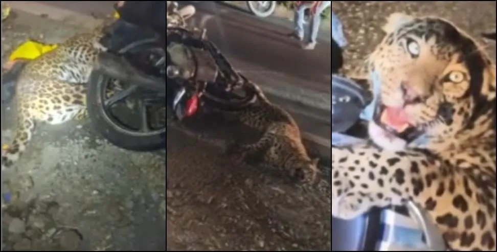 c7e9d7f6-127a-4c2b-ac14-bae3235d7ad4