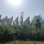 1002974790