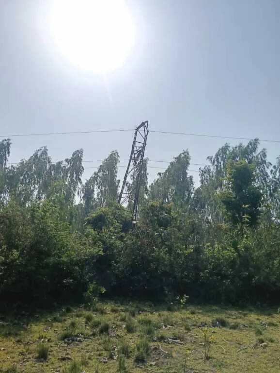 1002974790