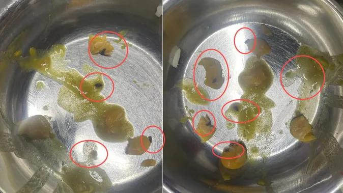 masa-ka-khana-ma-kaugdha_ff24304fa73ab22d7d662800a0a0158a