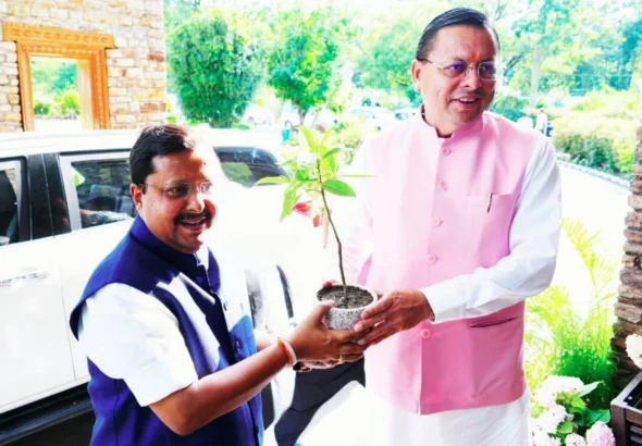 nitin-naveen-and-dhami