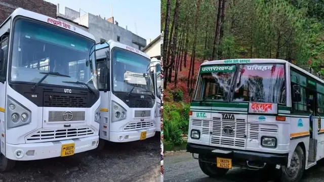 mini-bus-uk-1783394306007_v