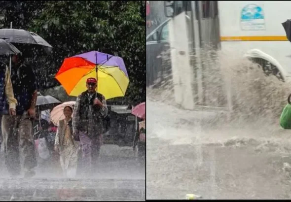 weather