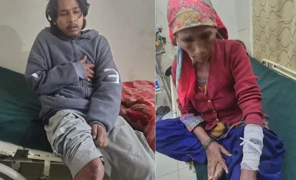 bhalu-1791862638646_v